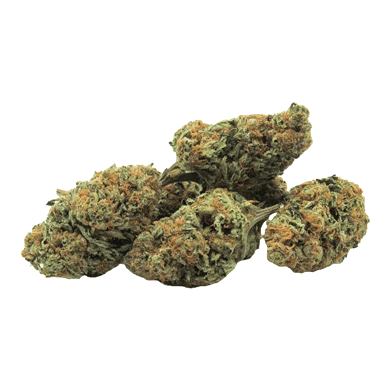 Green Mountain Health Alliance - Gorilla Zkittlez Dried Flower