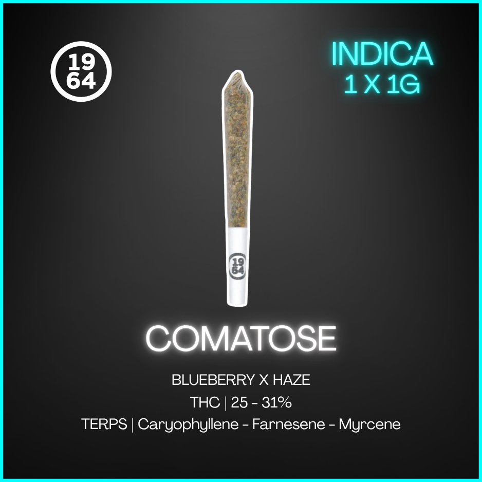 1964 - Comatose Pre-Rolls - 1G