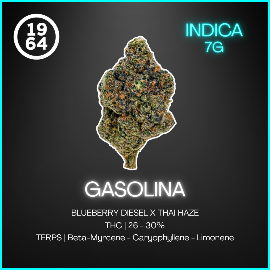 1964 - Gasolina - 7G