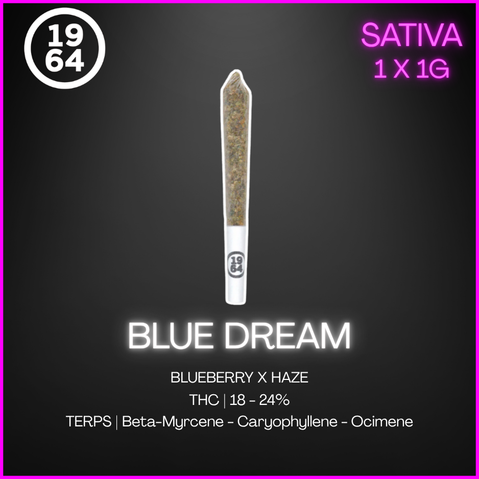 1964 - Blue Dream Pre-Roll - 1G