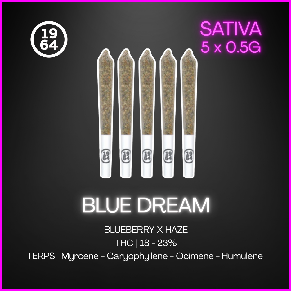 1964 - Blue Dream Pre-Rolls - 2.5G