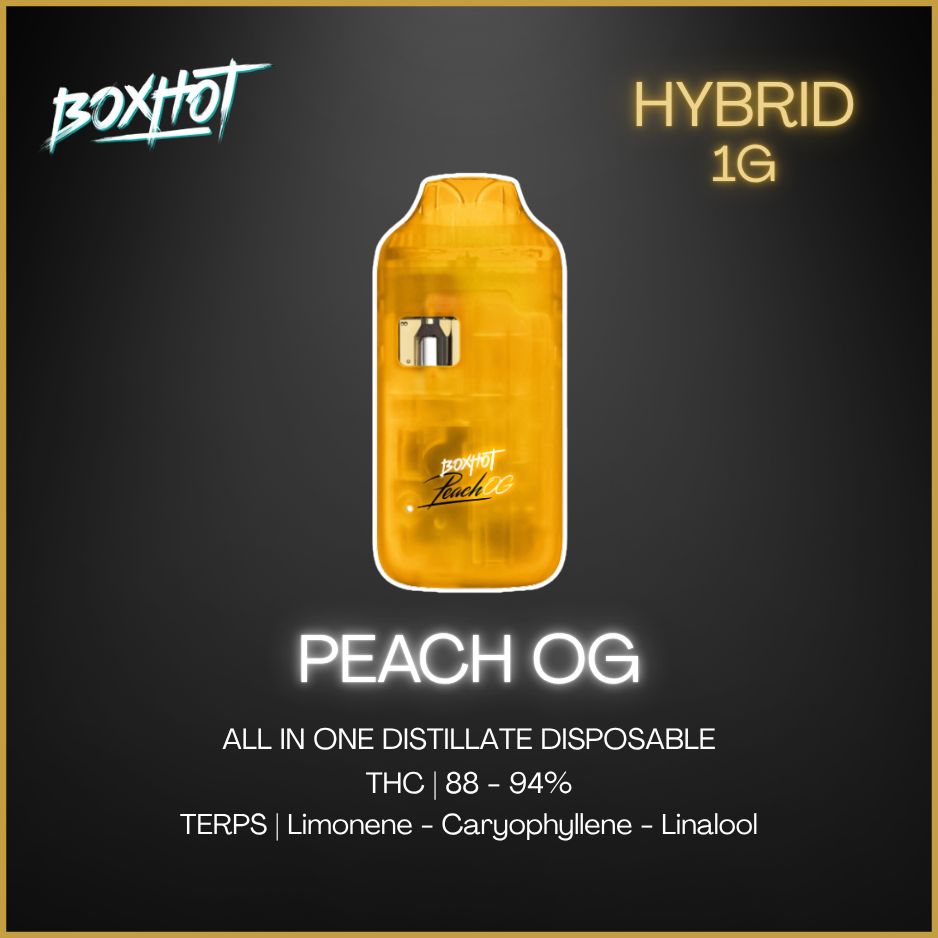 Boxhot - Peach Og All-In-One Disposable Vape - 1G Pineapple Victoria Boxhot - Peach Og All-In-One Disposable Vape - 1G Pineapple Victoria