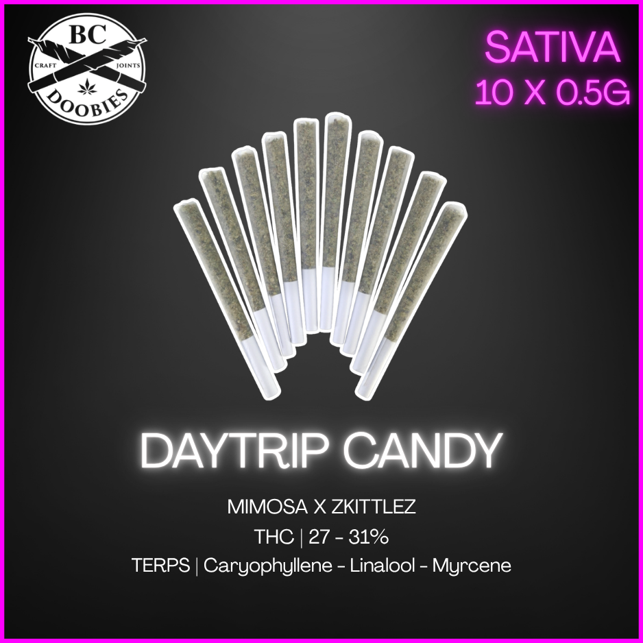 Bc Doobies - Daytrip Candy Pre-Rolls - 5G