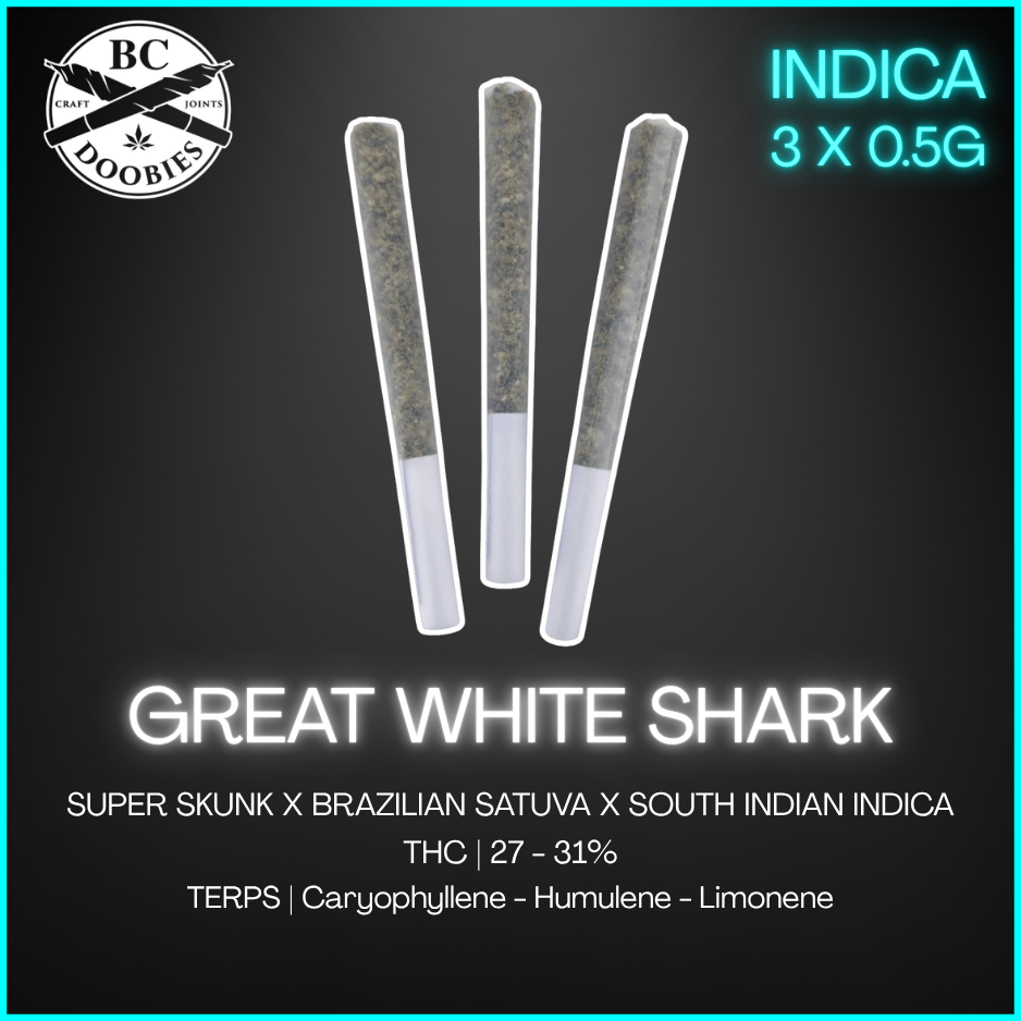Bc Doobies - Great White Shark Pre-Rolls - 1.5G