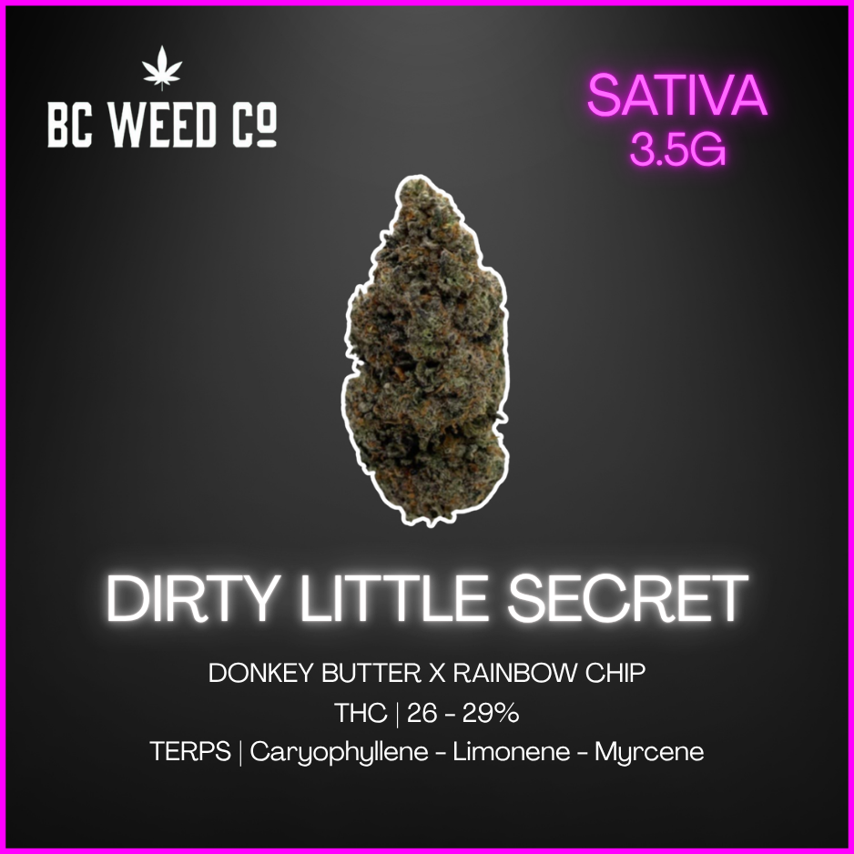 Bc Weed Co. - Dirty Little Secret Lto - 3.5G