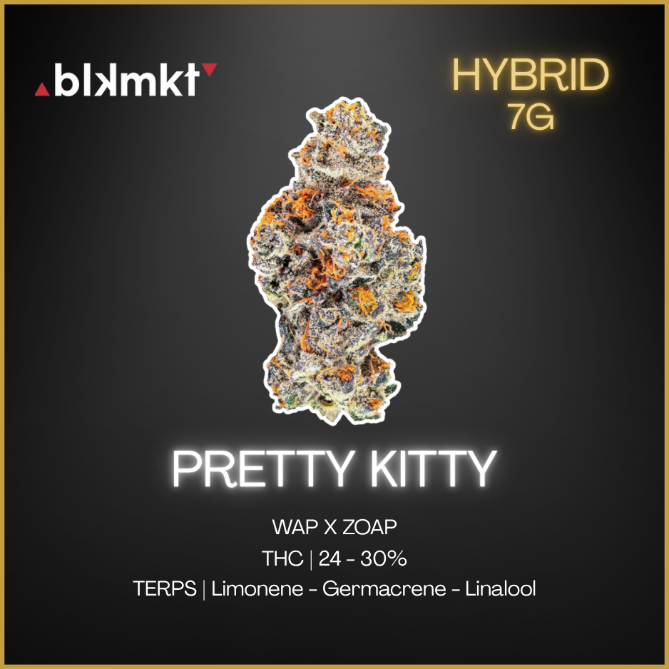 Blk Mkt - Exclusives - Pink Kitty - 7G – Pineapple Victoria