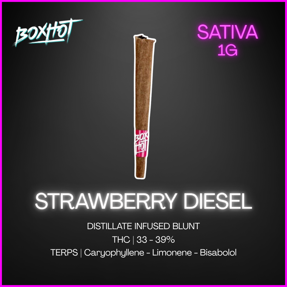 Boxhot - Strawberry Diesel Infused Blunt - 1G