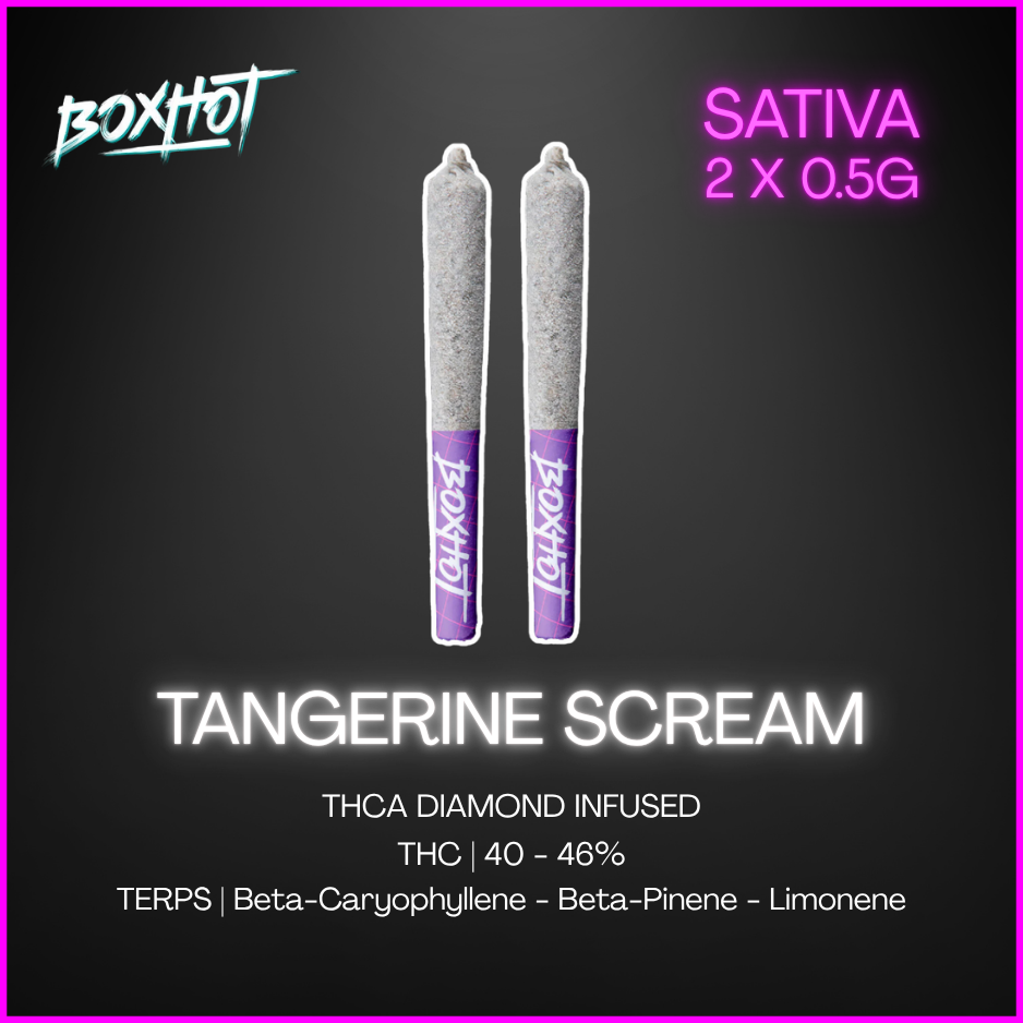 Boxhot - Tangerine Scream Thca Diamond Infused Pre-Rolls - 1G