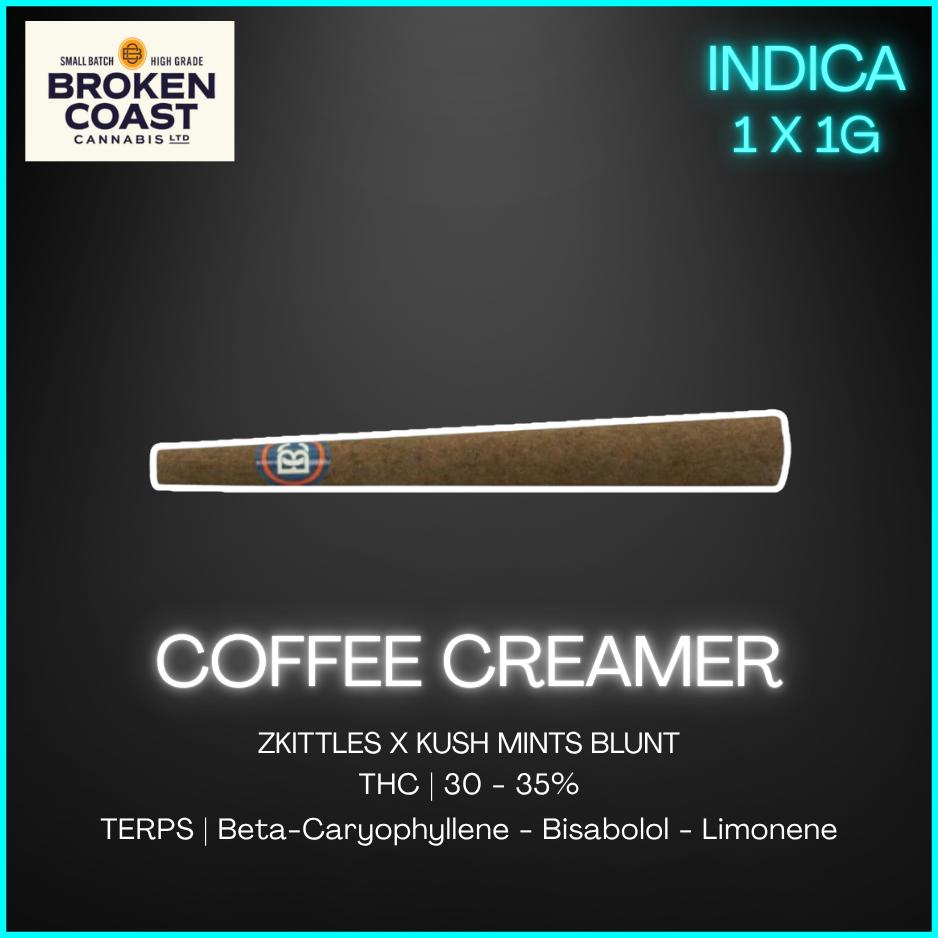 Broken Coast - Coffee Creamer Blunt - 1G