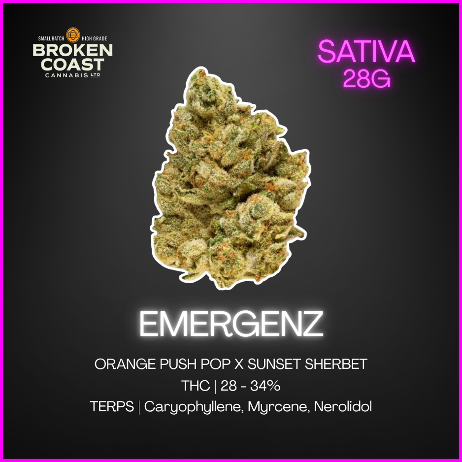 Broken Coast - Emergenz - 28G