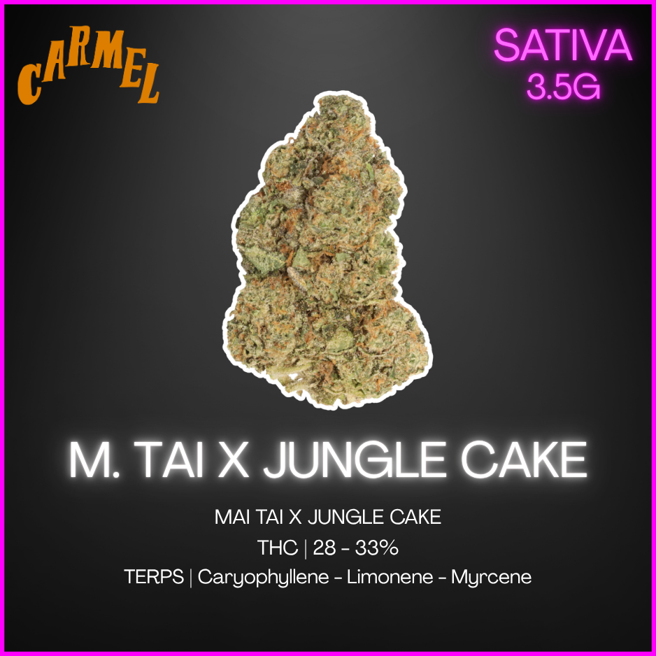 Carmel - M.Tai X Jungle Cake Lto - 3.5G