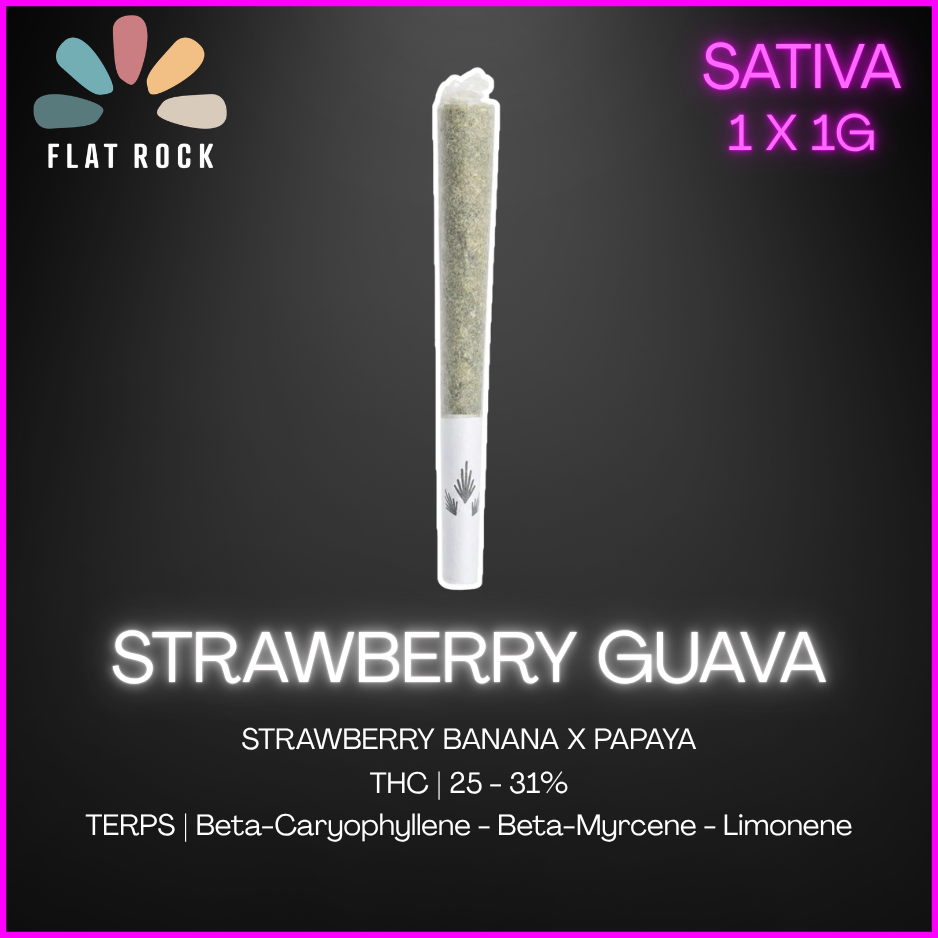 Flat Rock - Strawberry Guava Prerolls - 1G