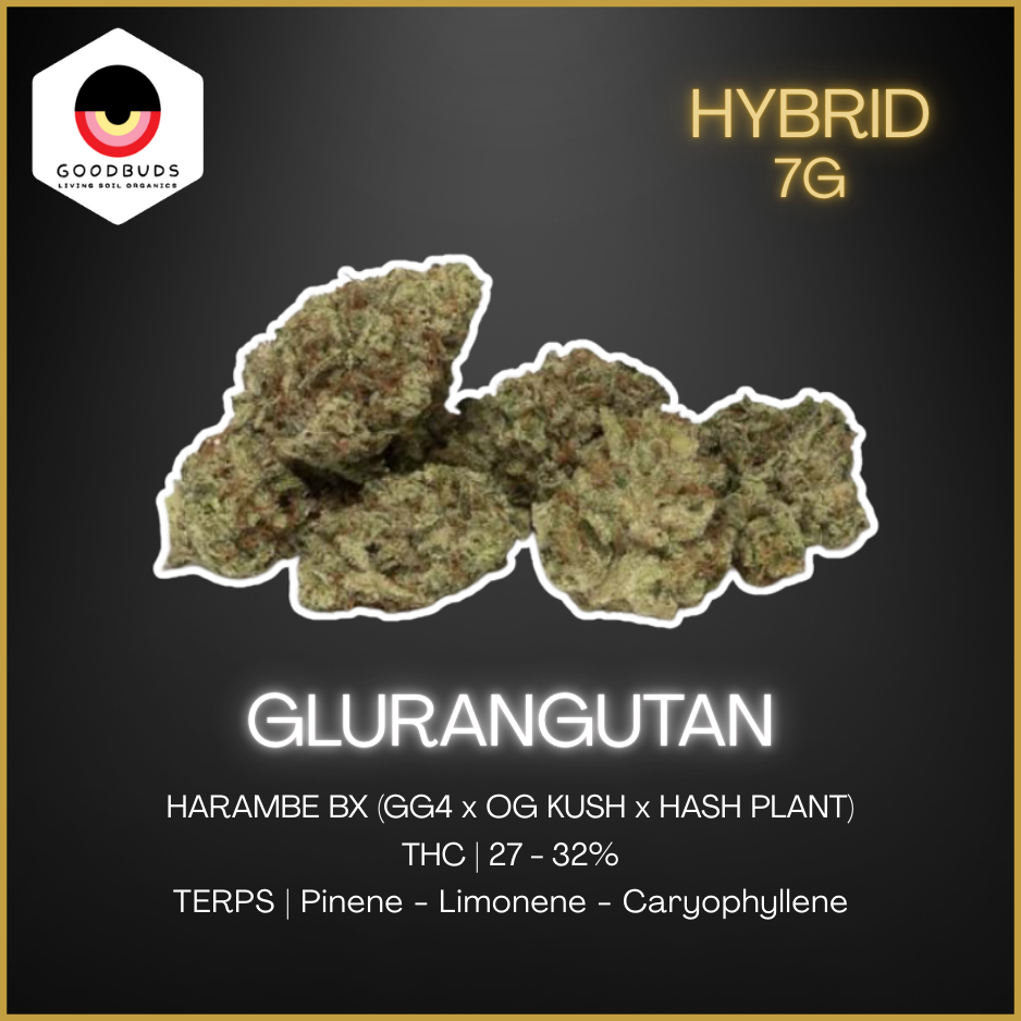 Good Buds - Gluerangutan - 7G