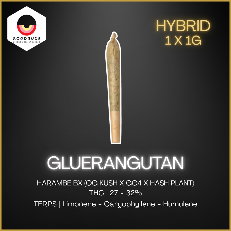 Good Buds - Gluerangutan Pre-Rolls - 1G