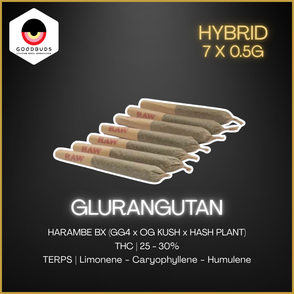 Good Buds - Gluerangutan Pre-Rolls - 3.5G