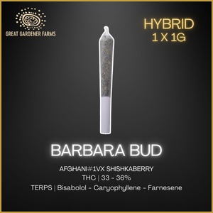 Great Gardener Farms - Barbara Bud Live Rosin Infused Pre-Roll - 3649 - 1G