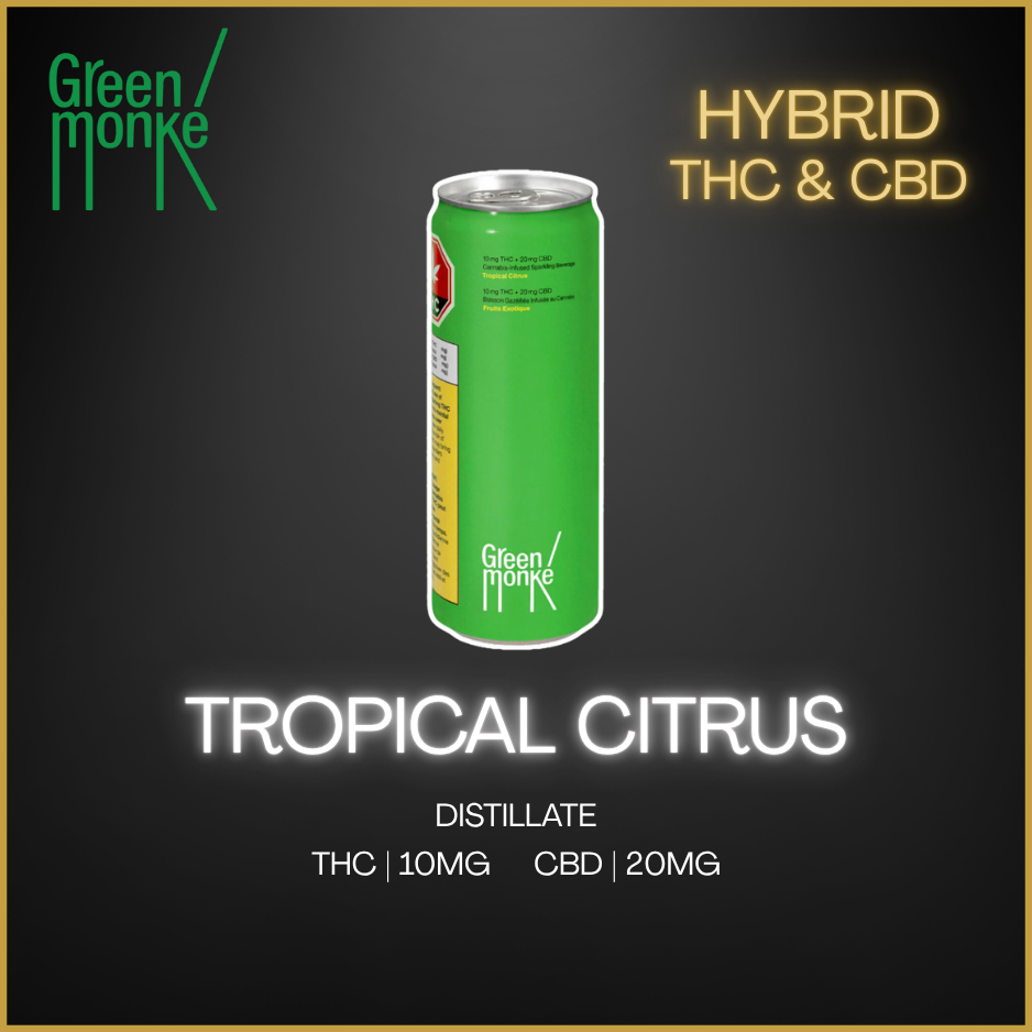 Green Monke - Tropical Citrus