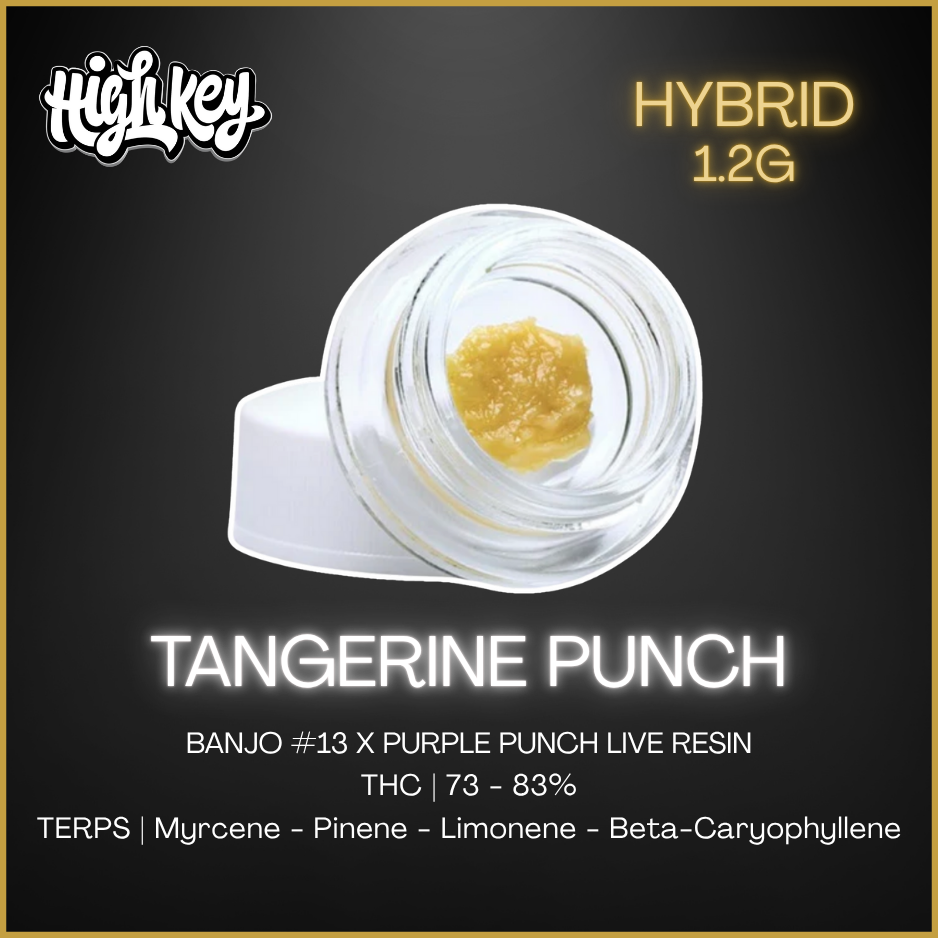 High Key - Tangerine Punch Live Resin