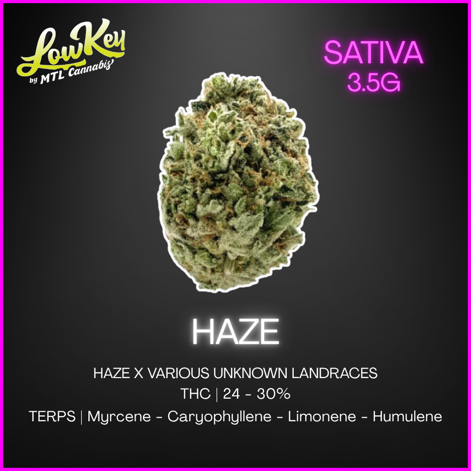 Lowkey By Mtl Cannabis - Haze