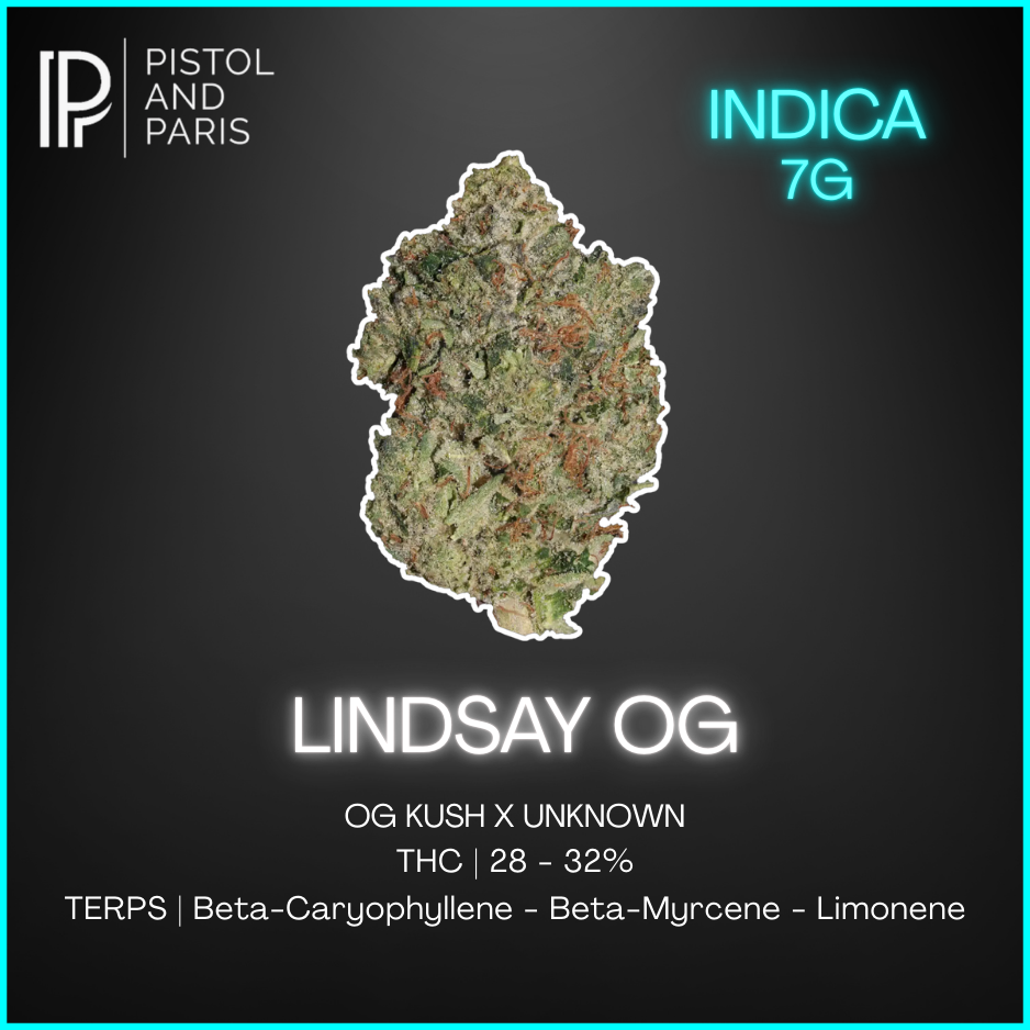 Pistol And Paris - Lindsay Og - 7G