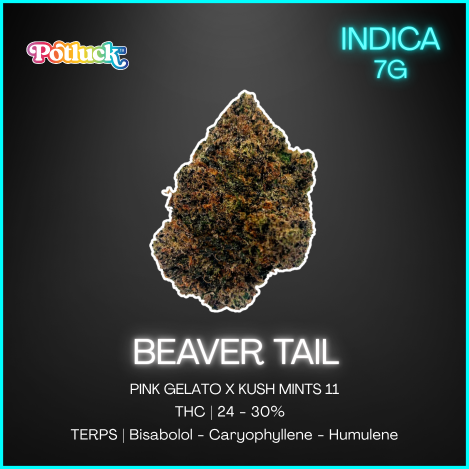 Potluck - Beaver Tail - 7G