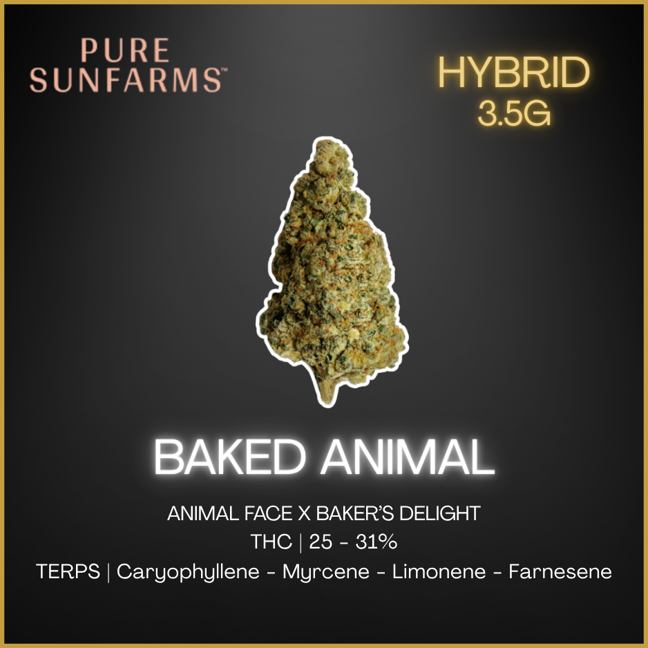 Pure Sunfarms - Baked Animal