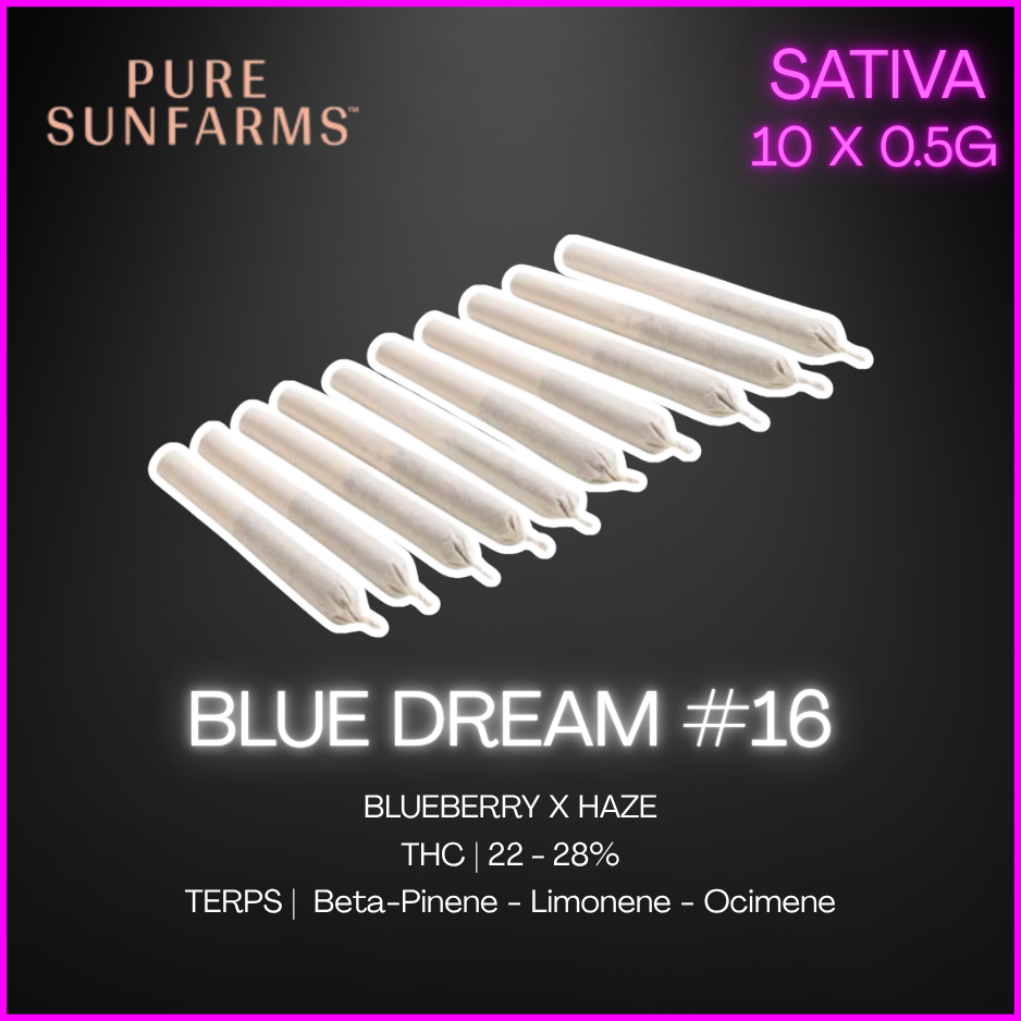 Pure Sunfarms - Blue Dream 16 Pre-Rolls - 3.5G