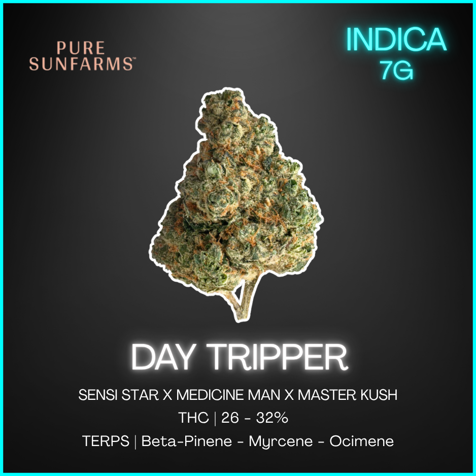 Pure Sunfarms - Day Tripper Lto - 7G