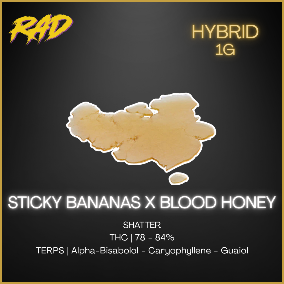 Rad - Sticky Bananas X Blood Honey Shatter - 1G