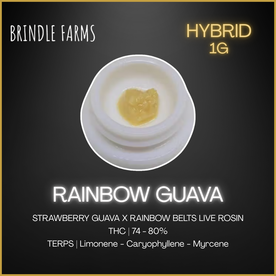 Rainbow Guava Percy Rosin
