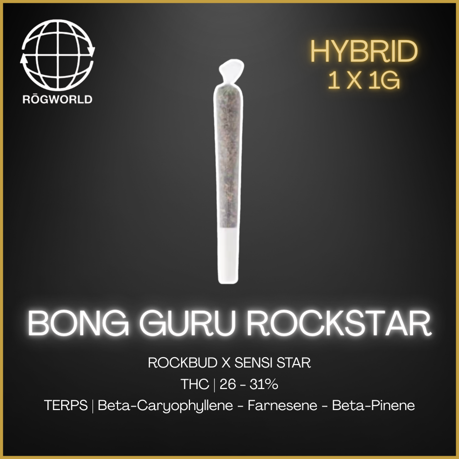 Rogworld - Bong Guru Rockstar Pre-Roll - 1G