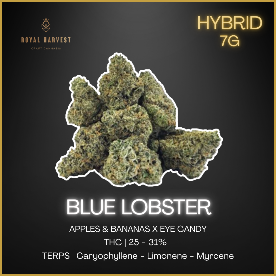 Royal Harvest Craft Cannabis - Limited Flower - 7G