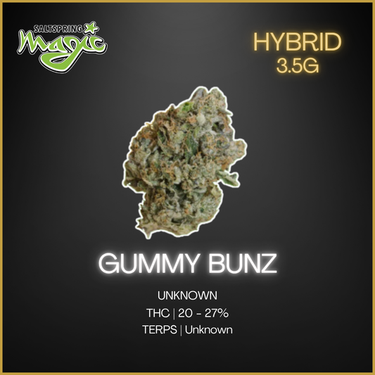 Saltspring Magic - Gummy Bunz 3.5 Gram