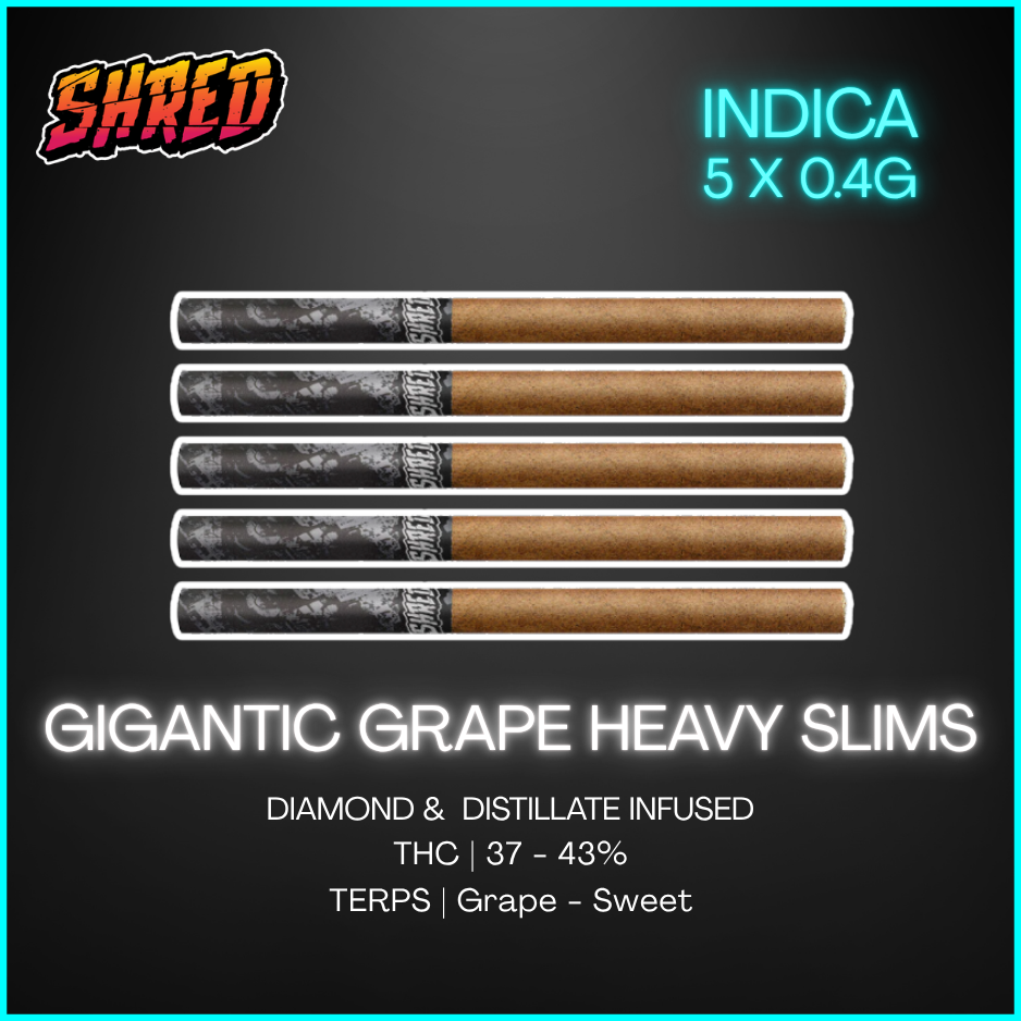 Shred - Gigantic Grape Heavy Slims Infused Pre-Rolls - 2G
