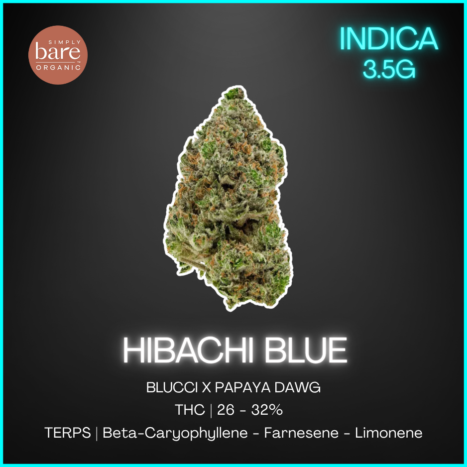 Simply Bare Organic - Bc Organic Hibachi Blue Lto - 3.5G