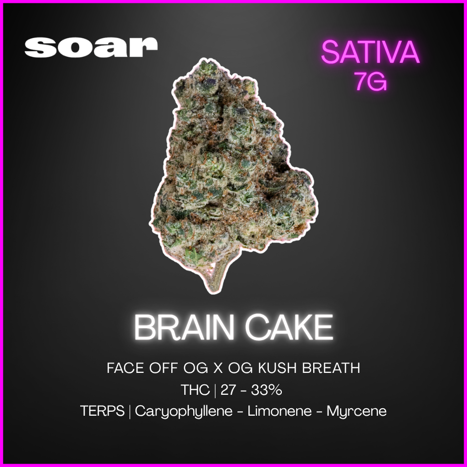 Soar - Brain Cake - 7G