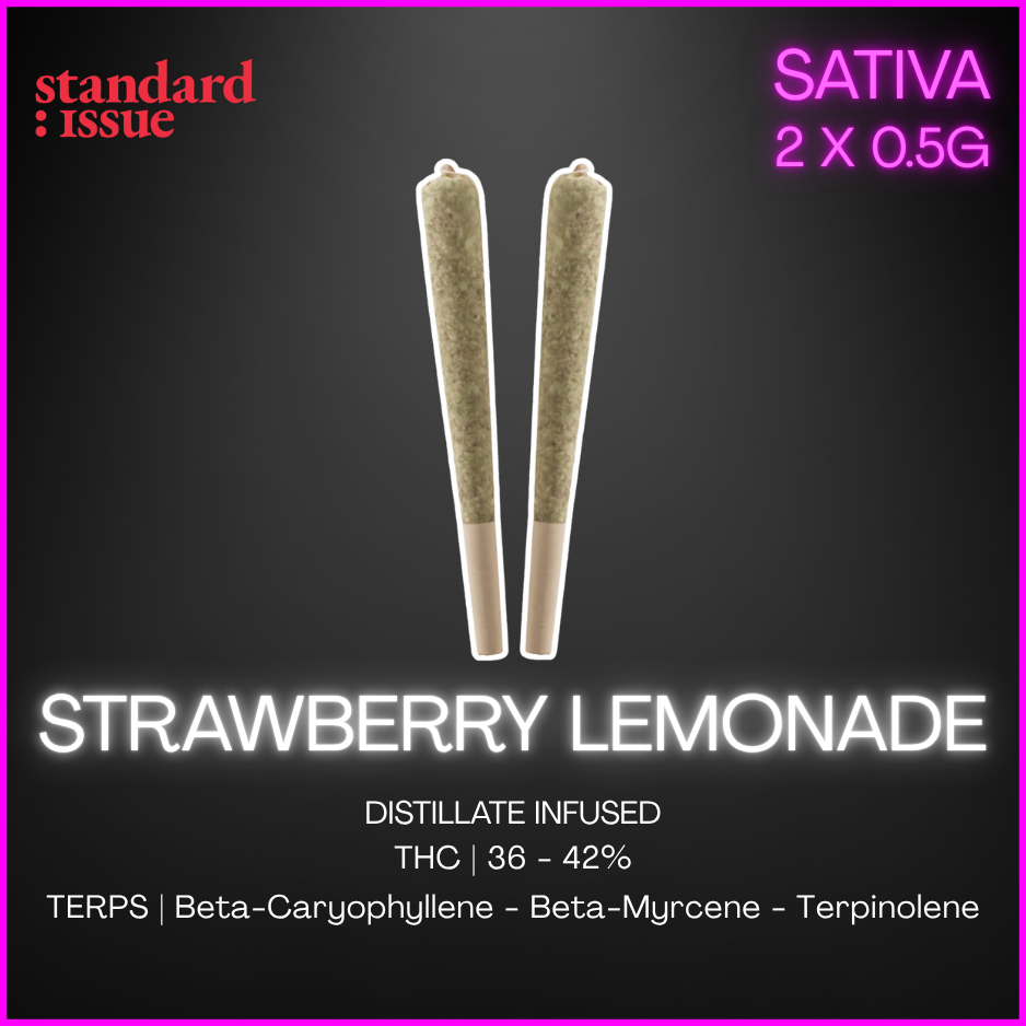 Standard Issue - Strawberry Lemonade Distillate Infused Pre-Rolls - 1G