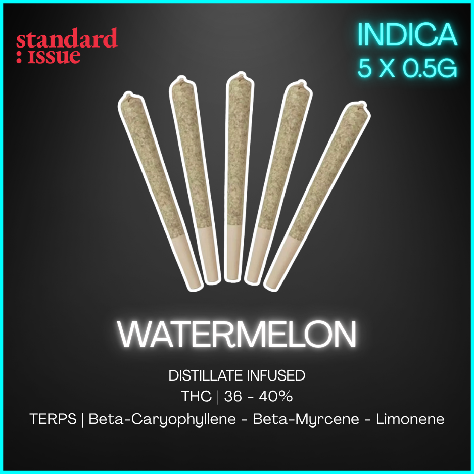 Standard Issue - Watermelon Infused Pre-Rolls - 2.5G