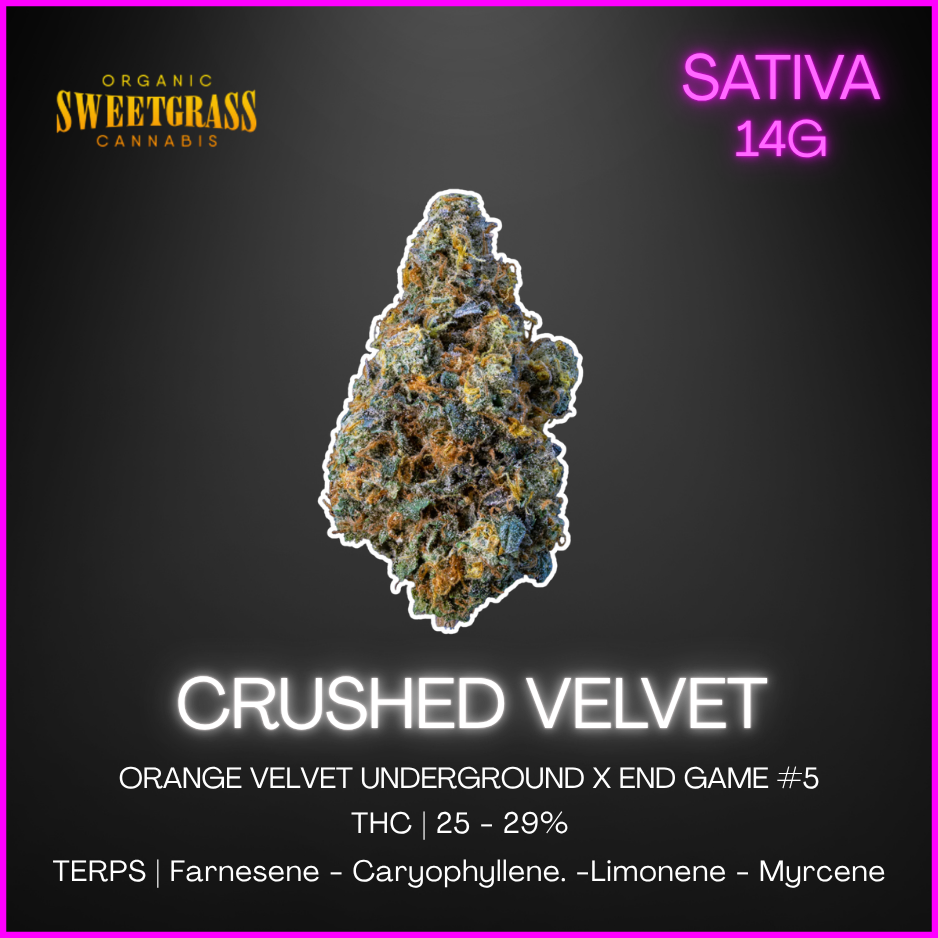 Sweetgrass Organic Cannabis - Crushed Velvet Premium Flower Lto - 14G