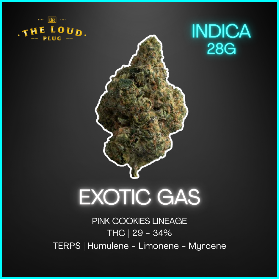 The Loud Plug - Exotic Gas - 28G