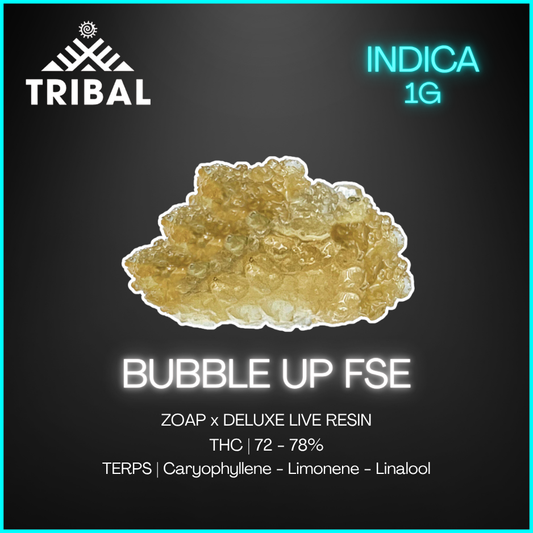 Tribal - Bubble Up Fse Live Resin - 1G