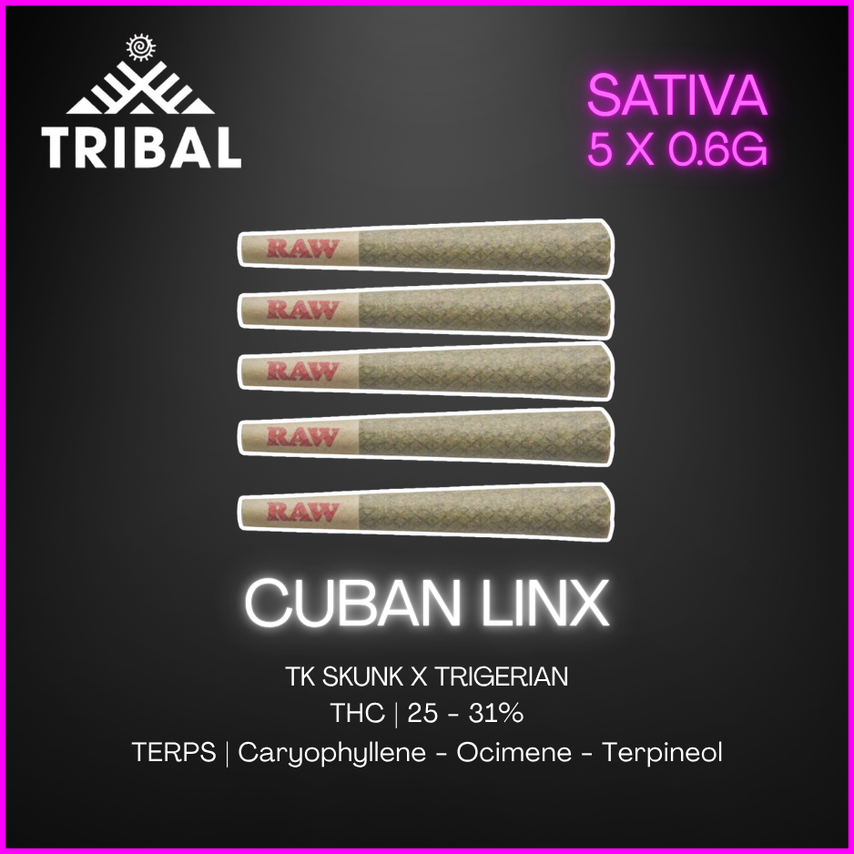 Tribal - Cuban Linx Pre-Rolls