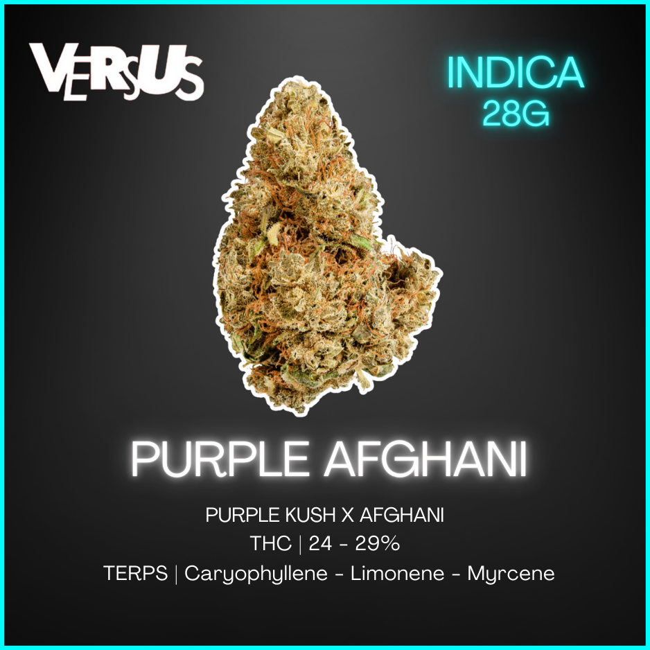Versus - Purple Afghani - 28G
