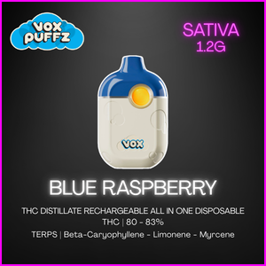 Vox - Blue Raspberry All-In-One Vape - 1.2G