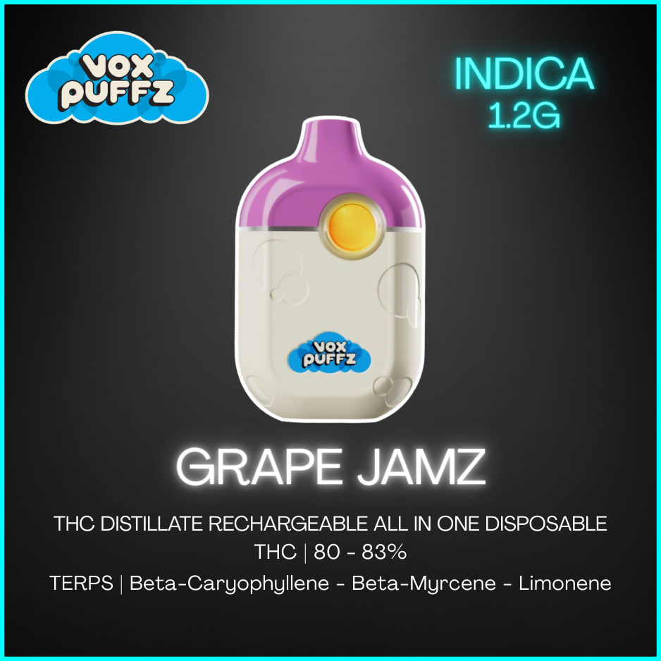 Vox - Grape Jamz Rechargeable All-In-One Vape - 1.2G