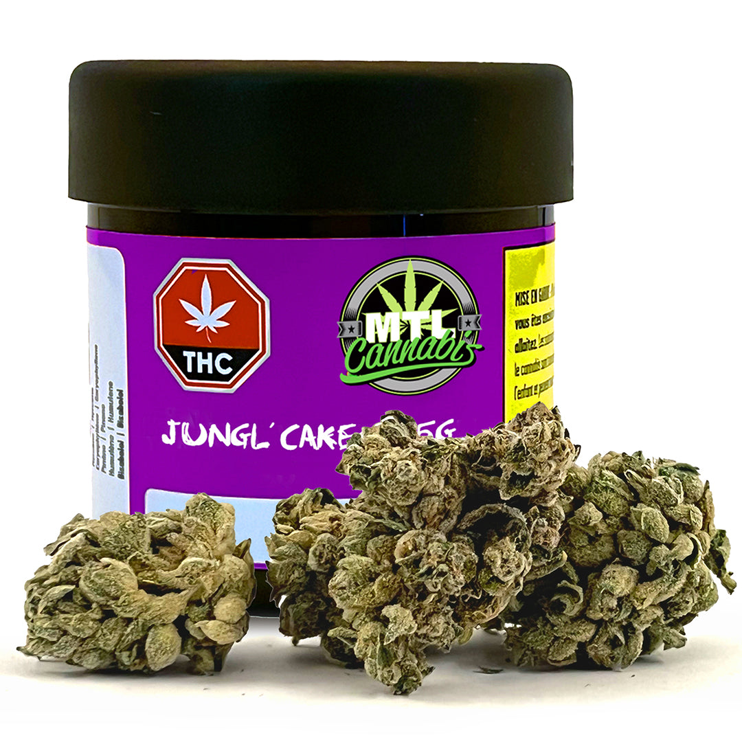 Mtl Cannabis - Jungl' Cake