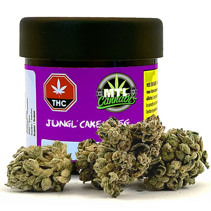 Mtl Cannabis - Jungl' Cake