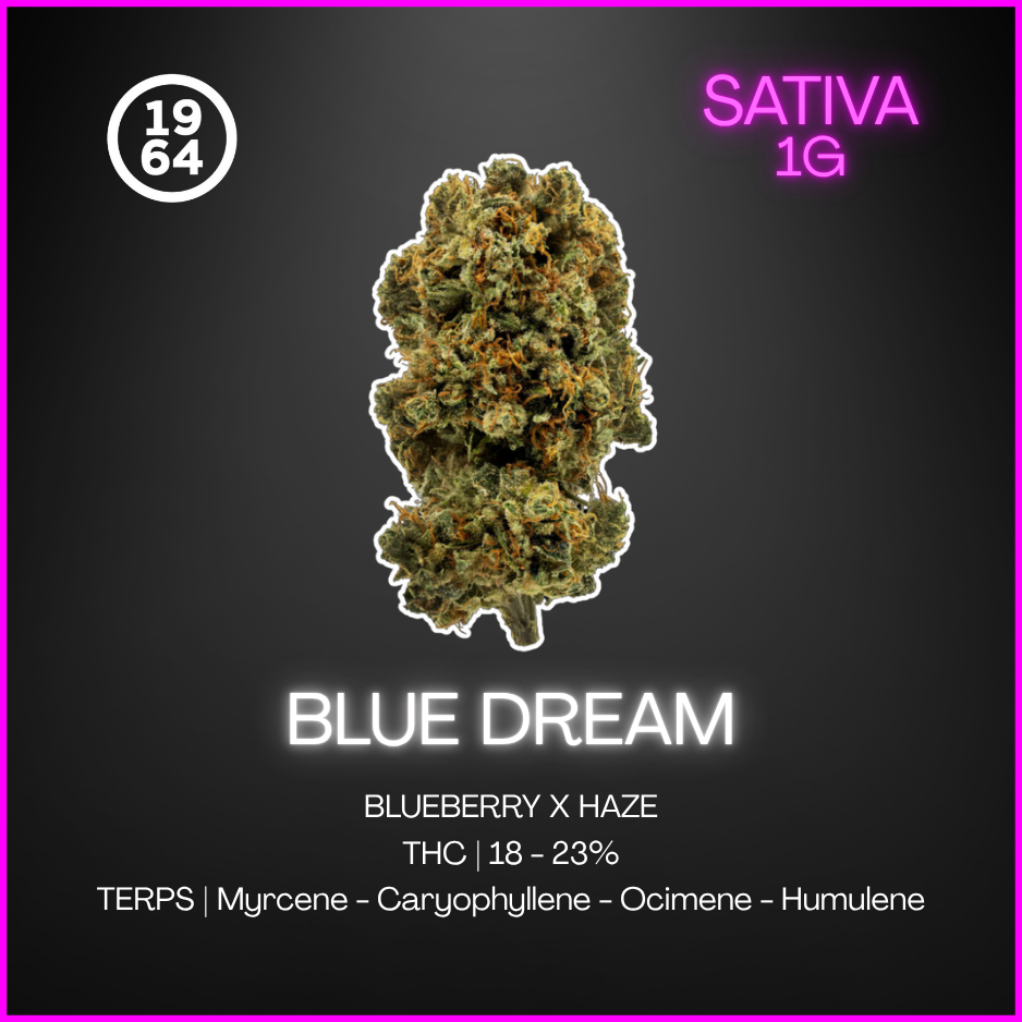 1964 - Blue Dream Flower