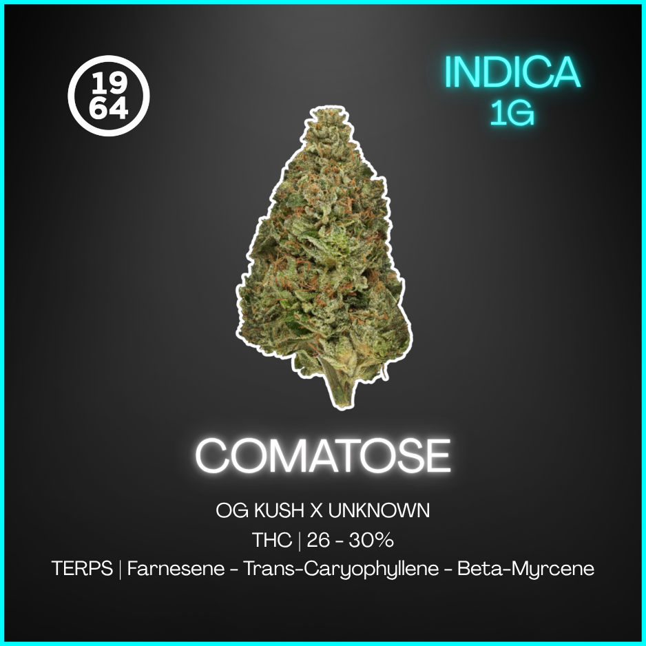 1964 - Comatose