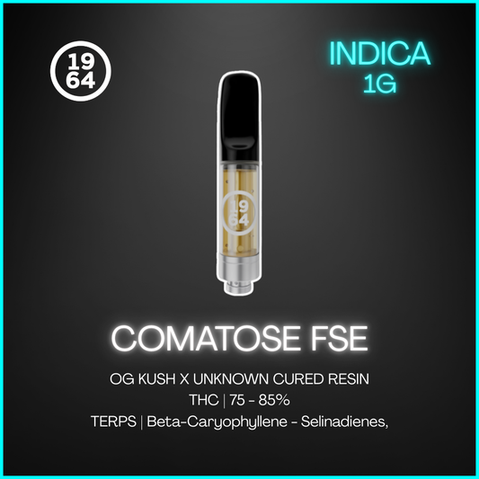 1964 - Comatose Fse Cured Resin - 1G